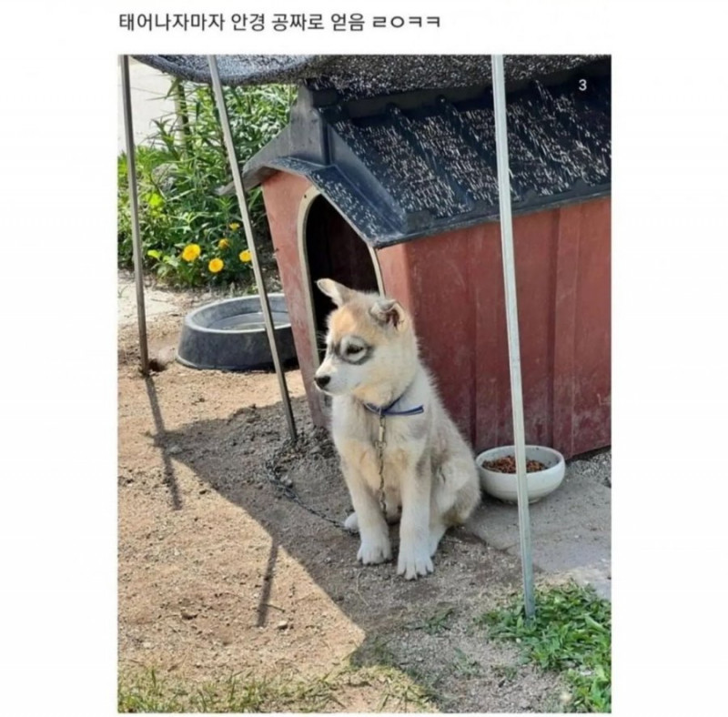 성인게임