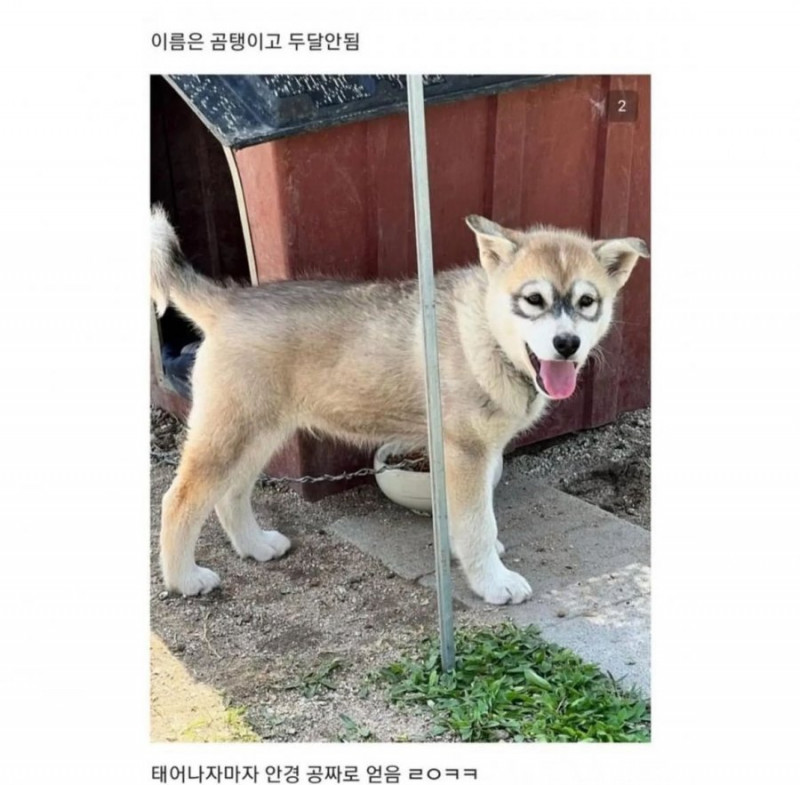 달팽이 분석과 실시간패턴통계