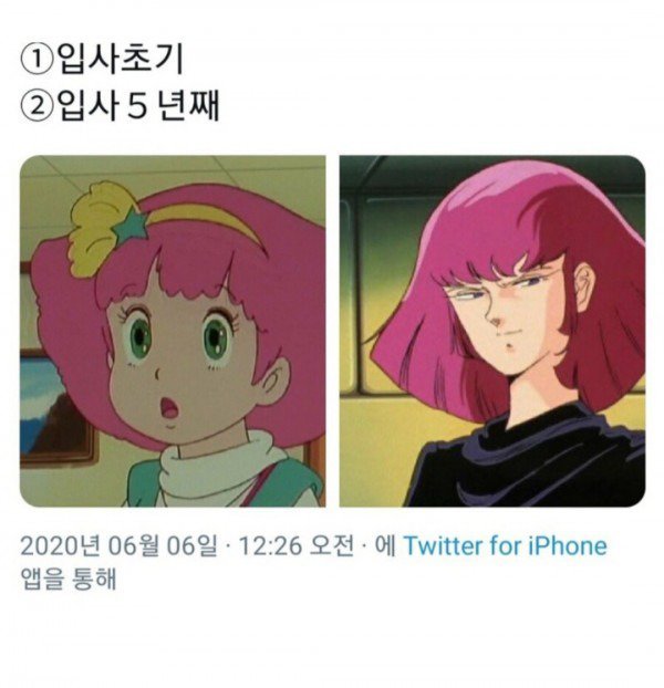 파워볼게임분석