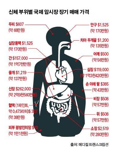 사다리게임