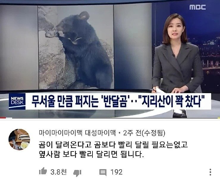 나눔로또 파워볼분석기