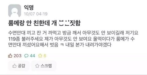 파워볼 분석과 실시간패턴통계