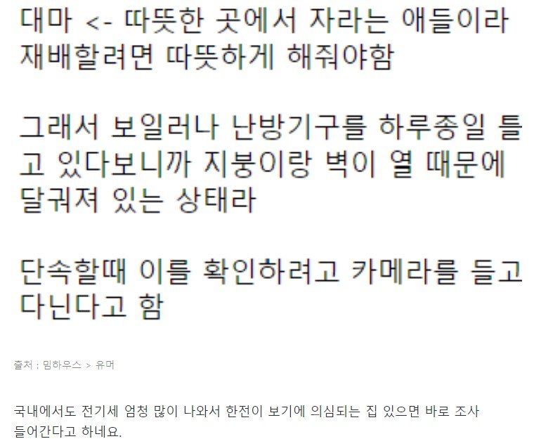 파워볼게임통계