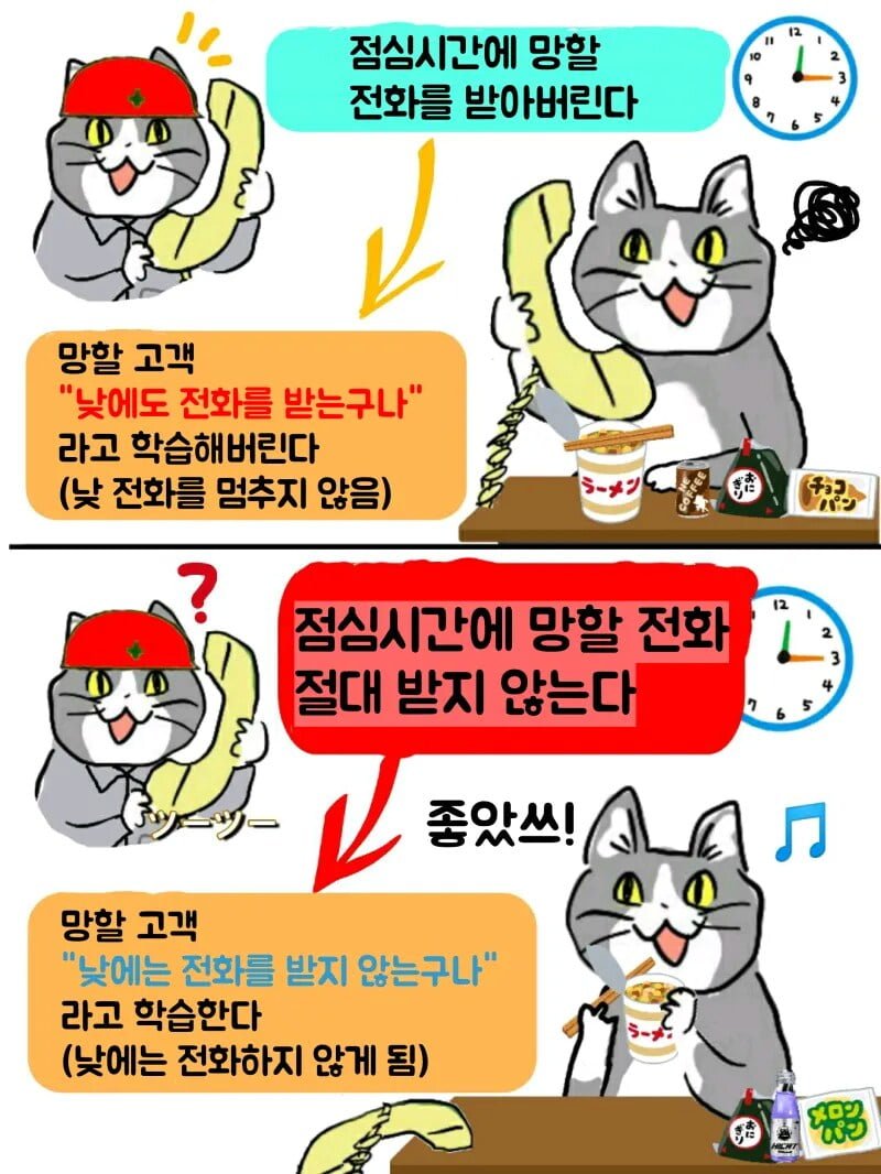 파워볼 분석과 실시간패턴통계