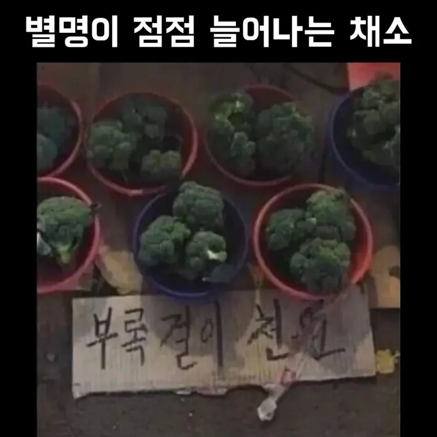 달팽이 분석과 실시간패턴통계