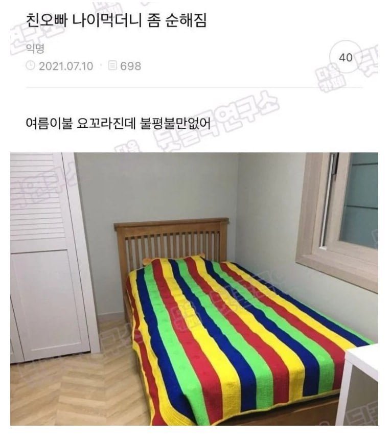 달팽이게임픽분석