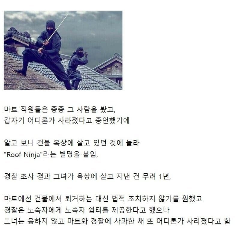 사다리게임