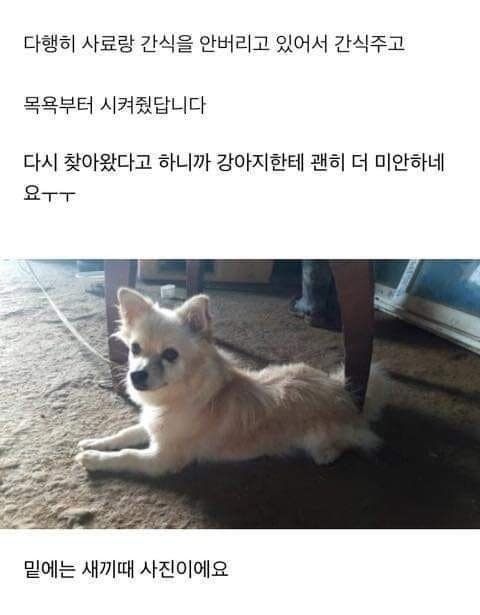 실시간다리다리