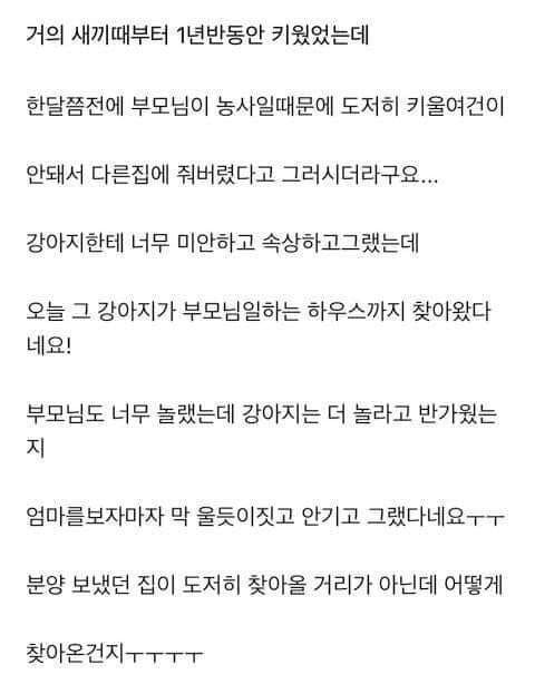 사다리 분석과 실시간패턴통계