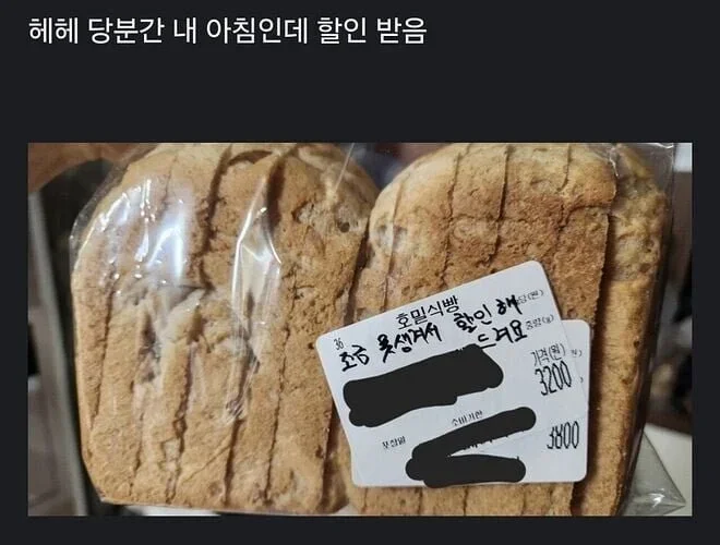 달팽이게임통계