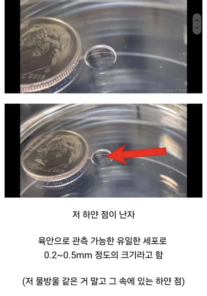 나눔로또