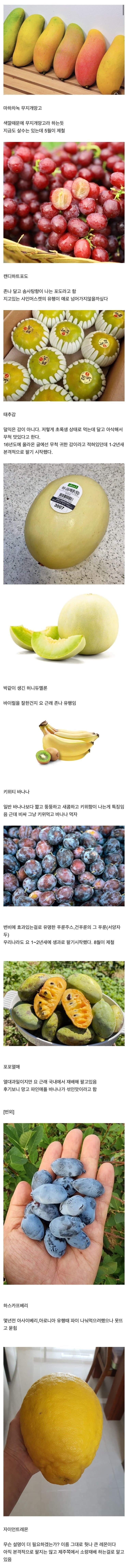 파워볼게임