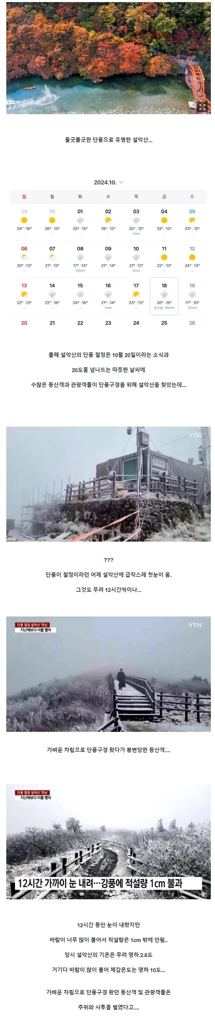 파워볼게임분석기