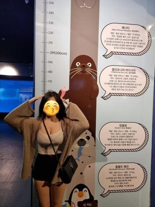 사다리 분석과 실시간패턴통계