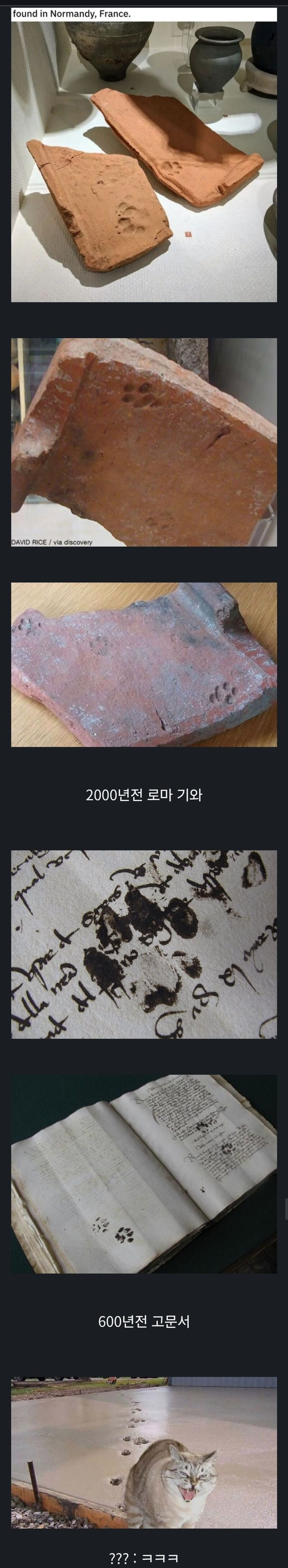 실시간파워볼