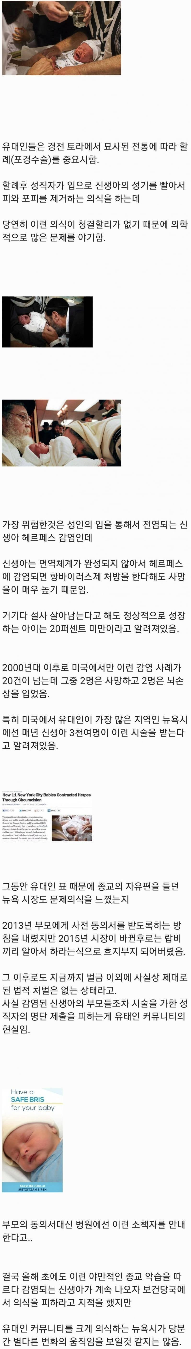 달팽이게임분석