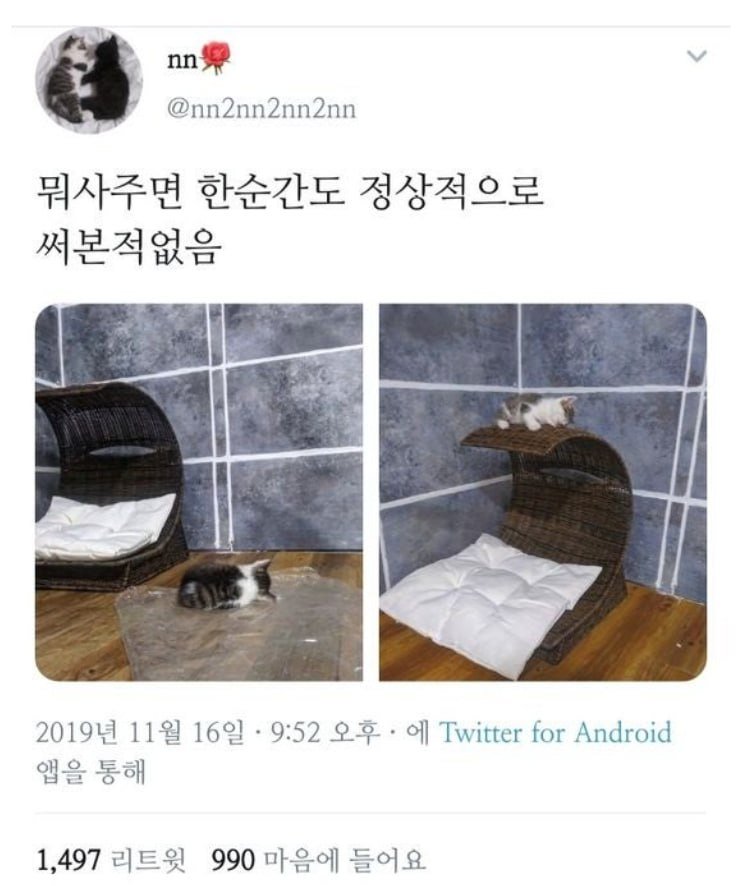 사다리게임통계