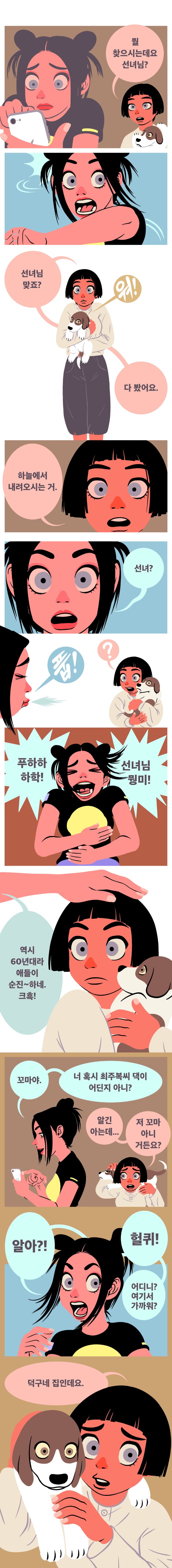 달팽이 분석과 실시간패턴통계