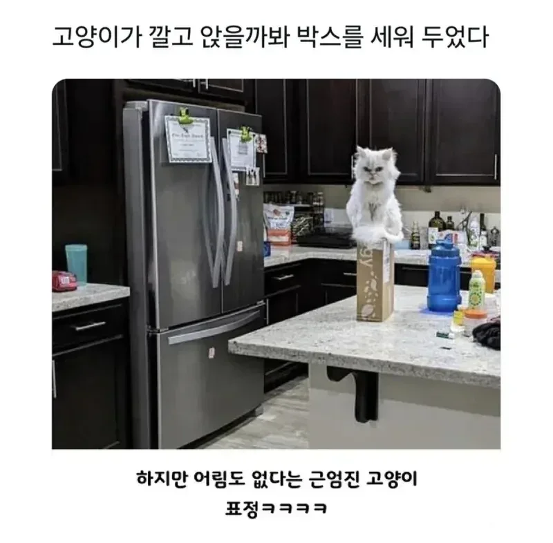 달팽이필승