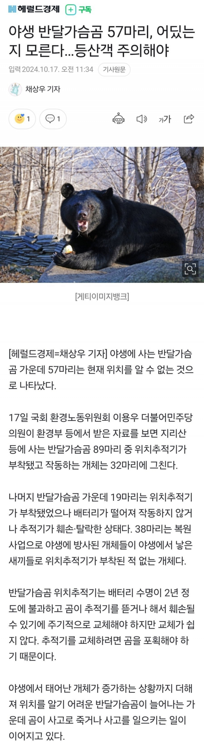 사다리 분석과 실시간패턴통계