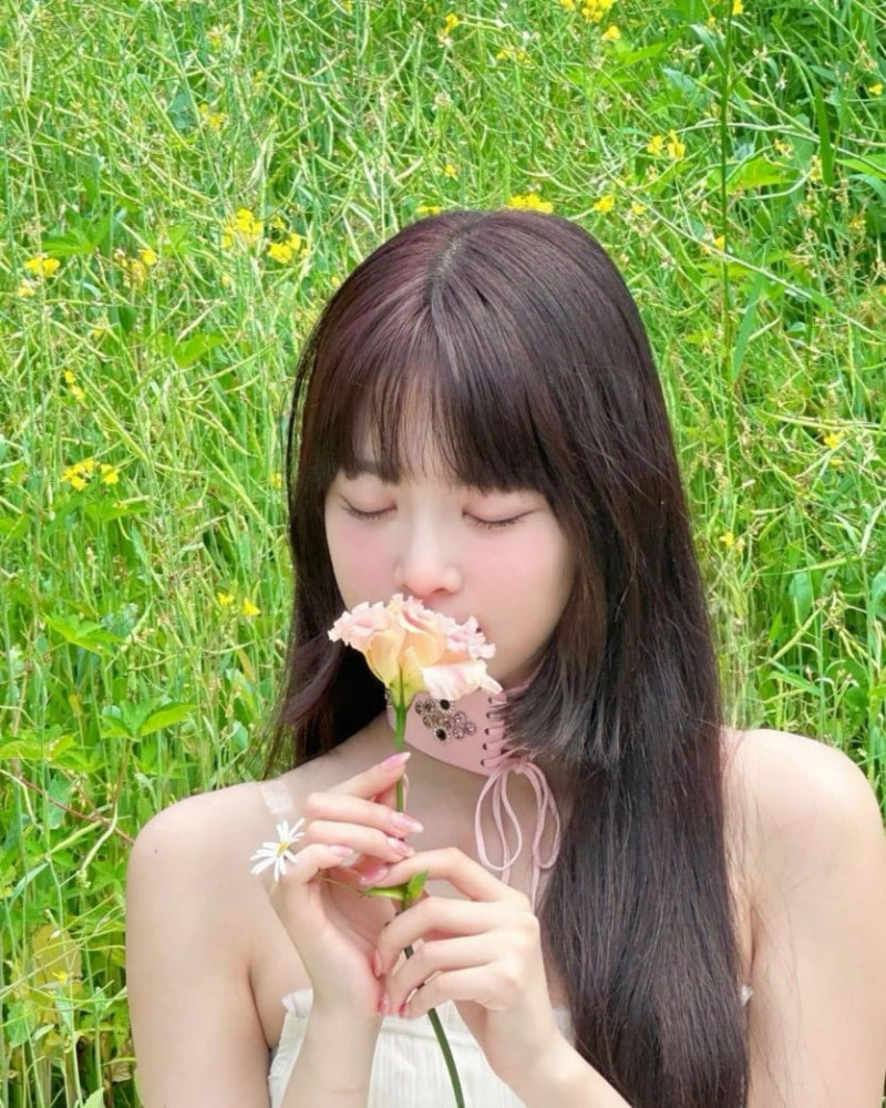 달팽이게임분석기