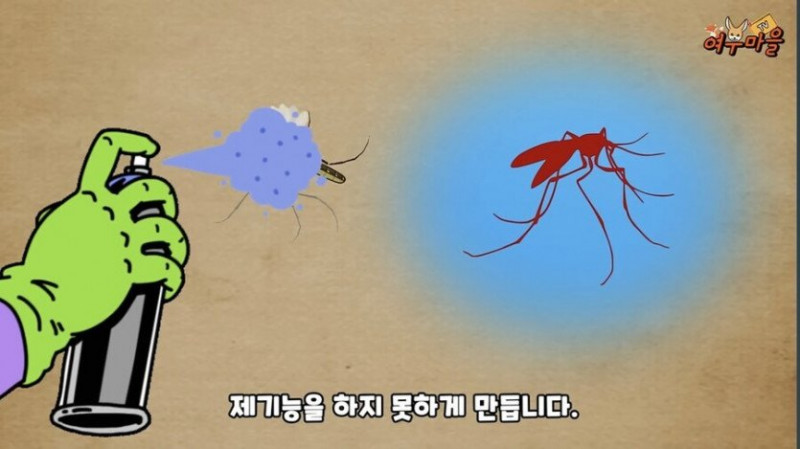 나눔로또 파워볼분석기