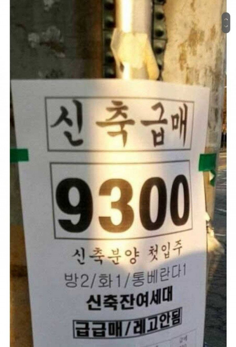 실시간파워볼