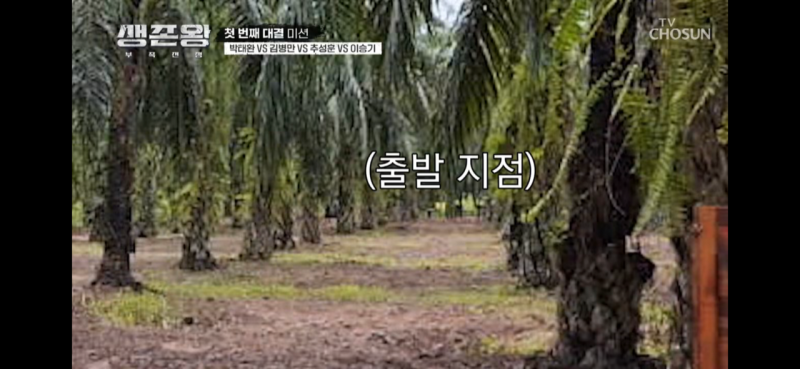 달팽이필승