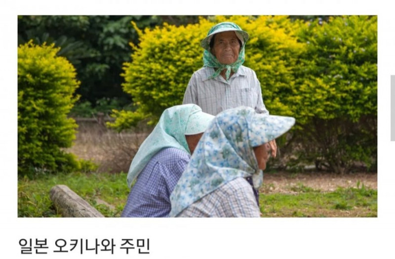 달팽이게임분석기