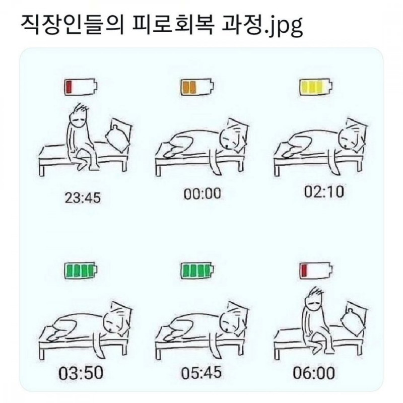 실시간다리다리