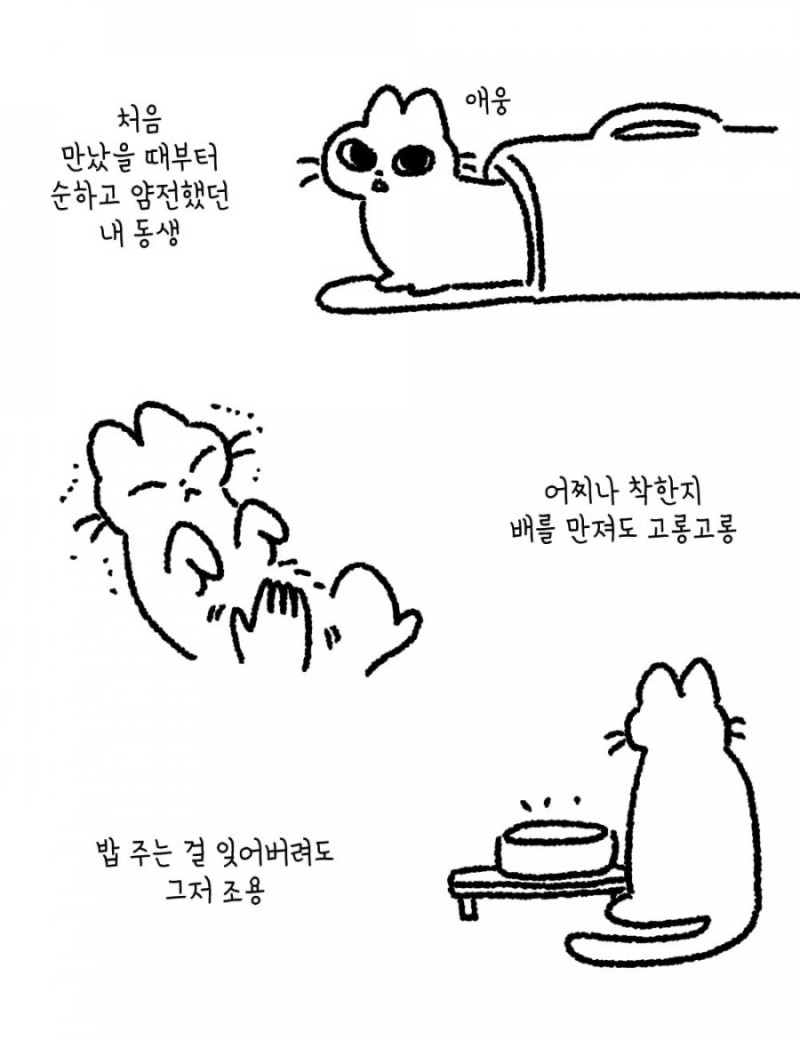 달팽이게임