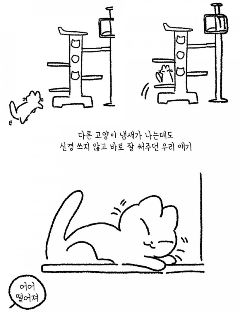 달팽이게임분석기