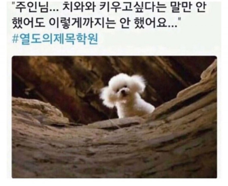 파워볼필승