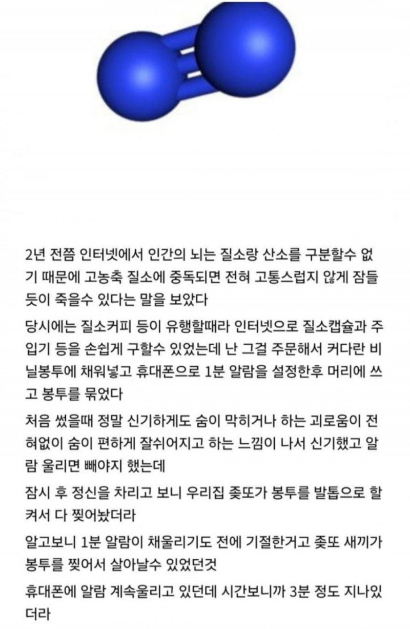 실시간게임