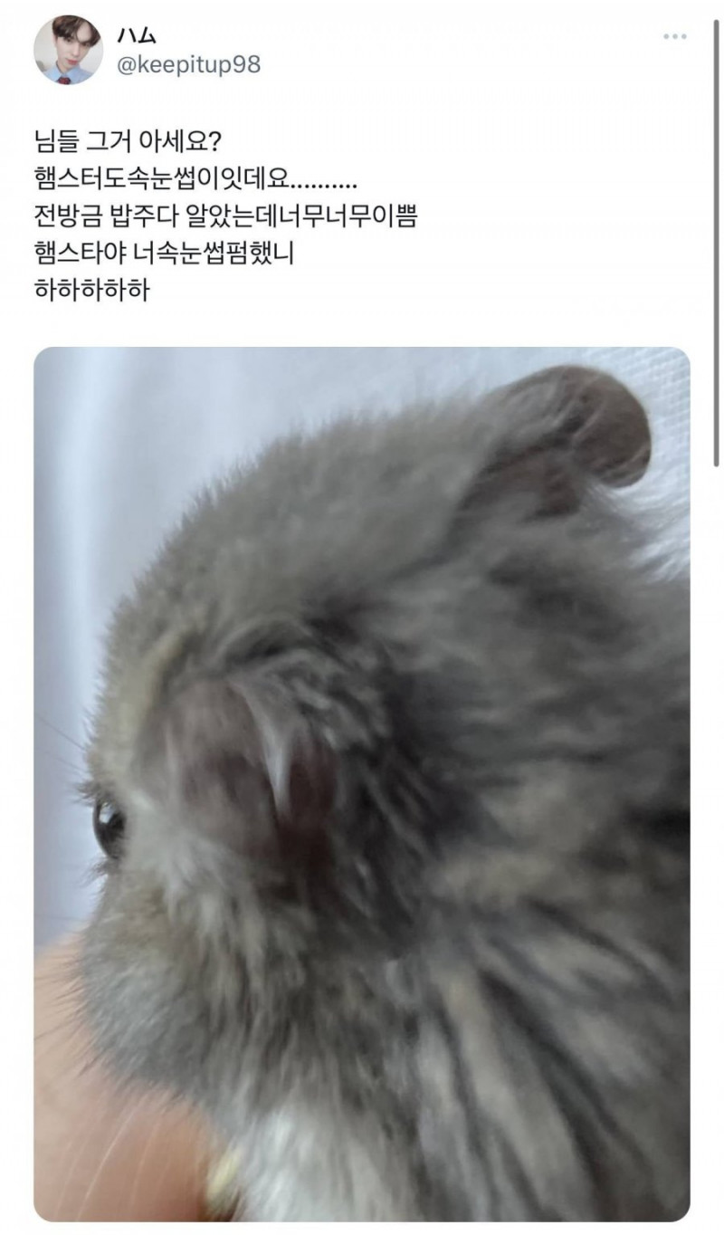 실시간게임