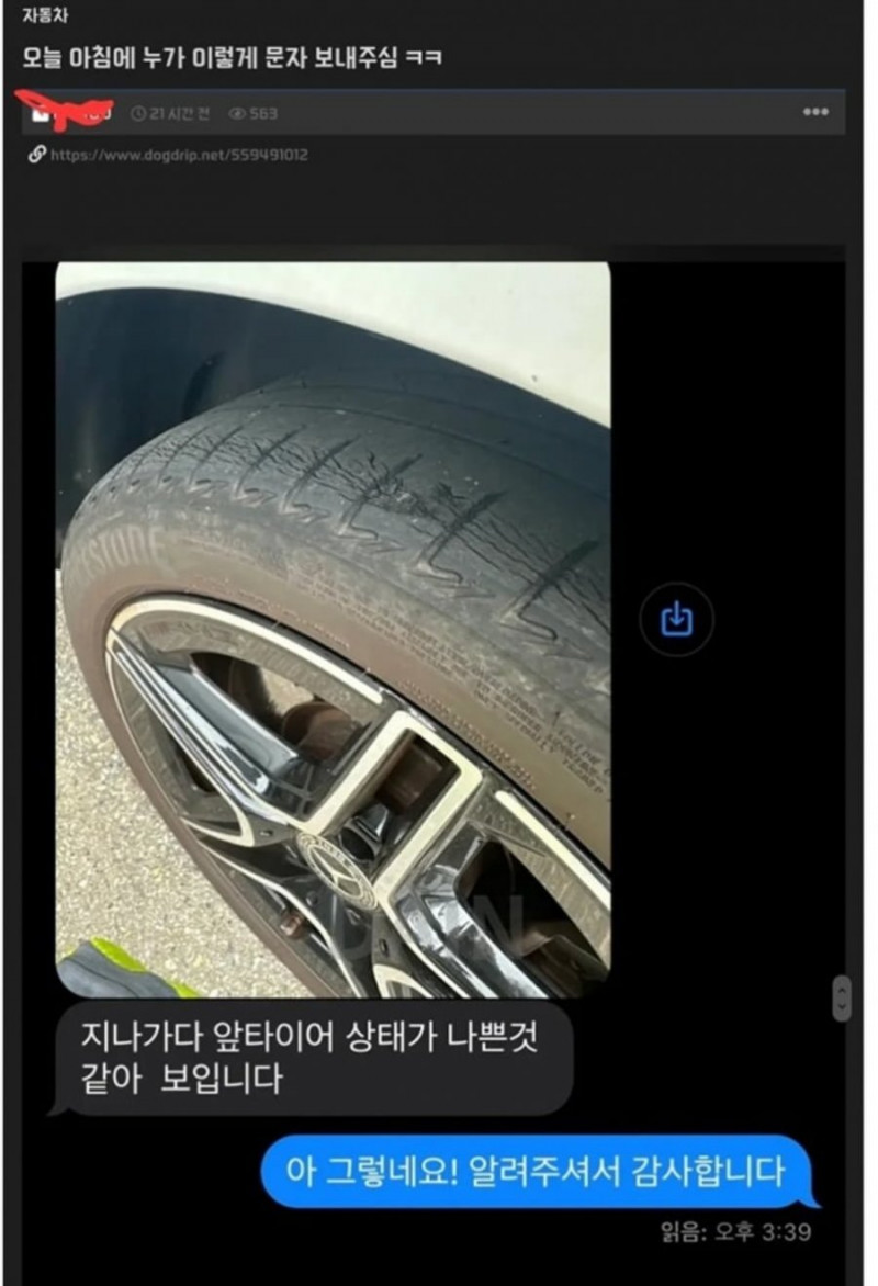 파워볼게임픽분석