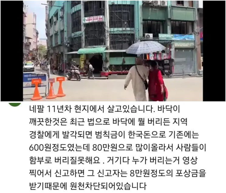 달팽이게임분석기