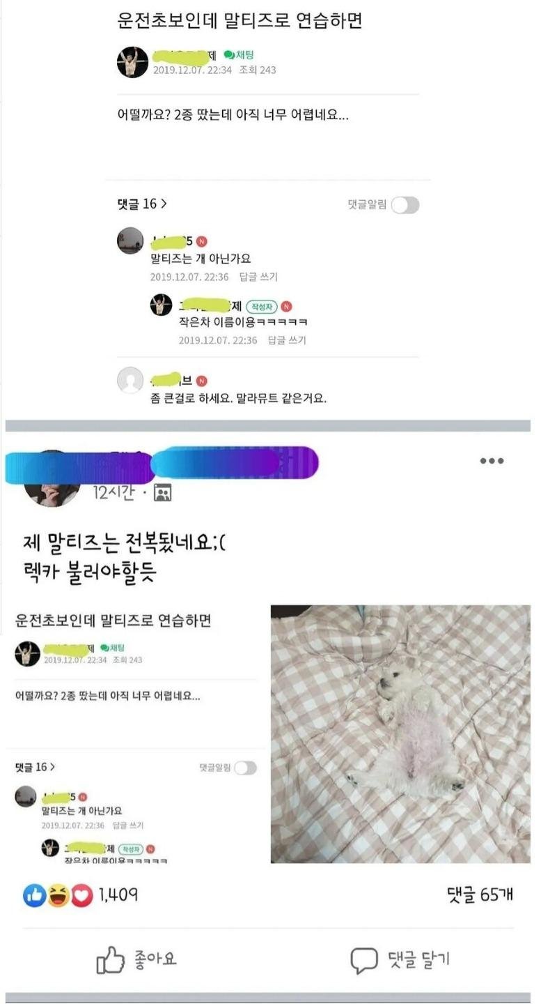 파워볼게임분석기