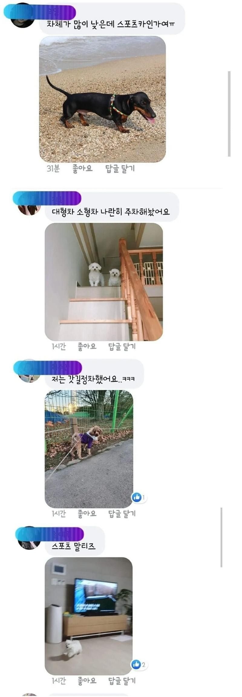 파워볼 분석과 실시간패턴통계