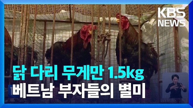 실시간파워볼