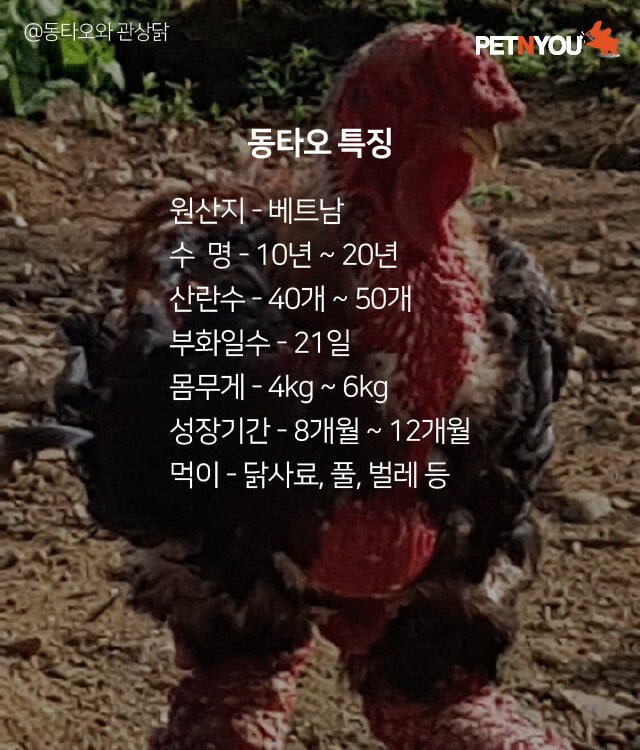 달팽이 분석과 실시간패턴통계