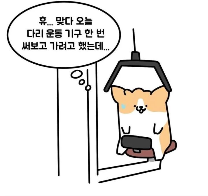 나눔로또 파워볼분석기