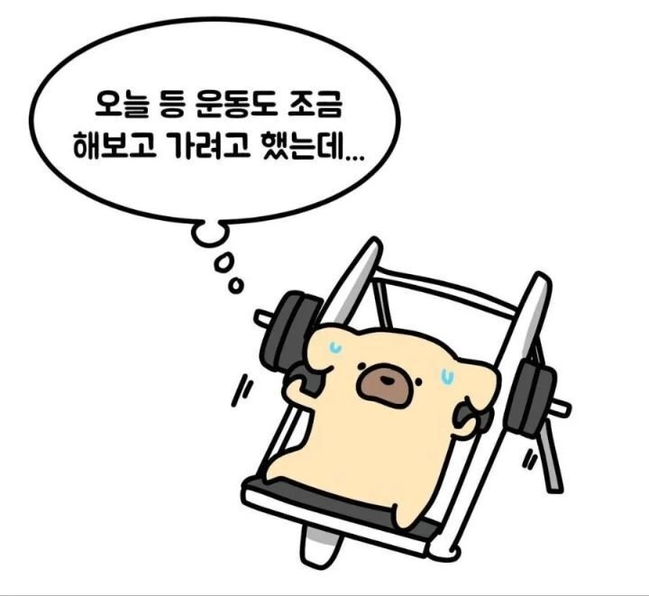 나눔로또 파워볼분석기