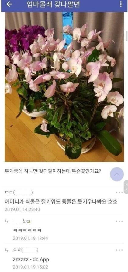 다리다리 분석과 실시간패턴통계