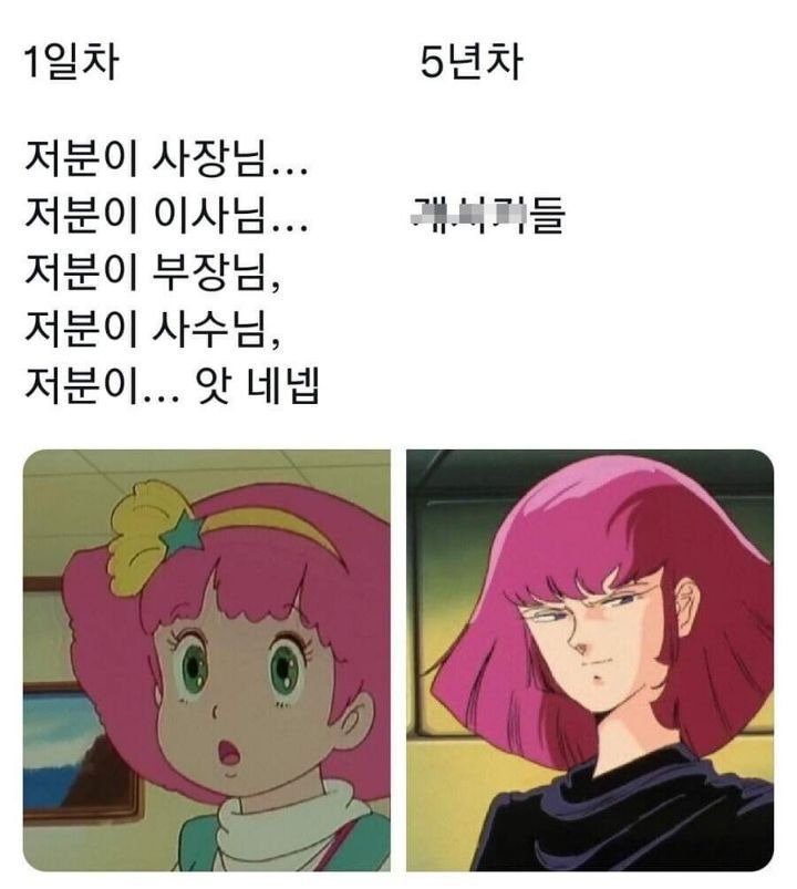 실시간다리다리