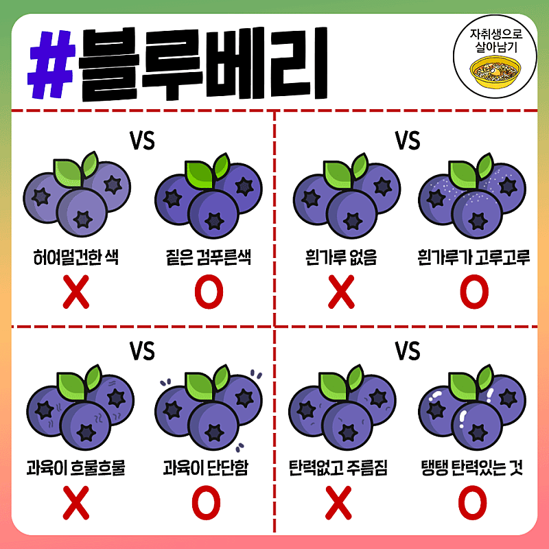 사다리 분석과 실시간패턴통계