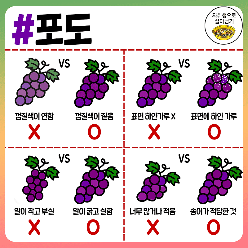 사다리 분석과 실시간패턴통계