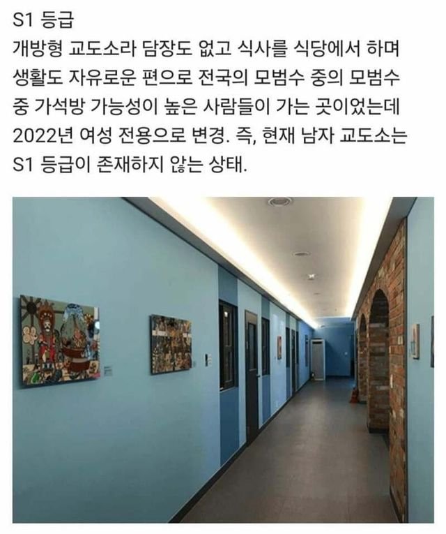 달팽이게임분석기