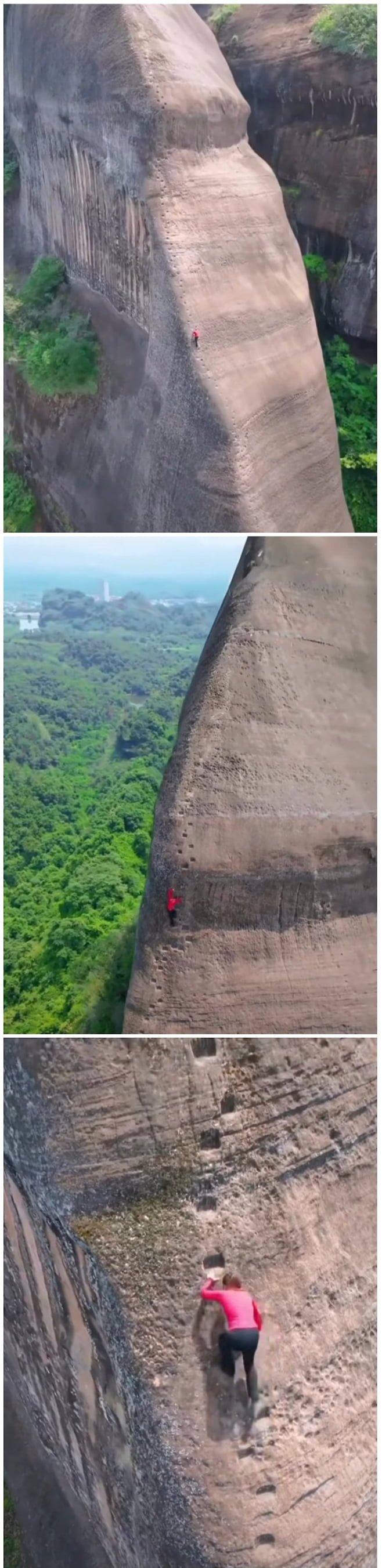 사다리게임