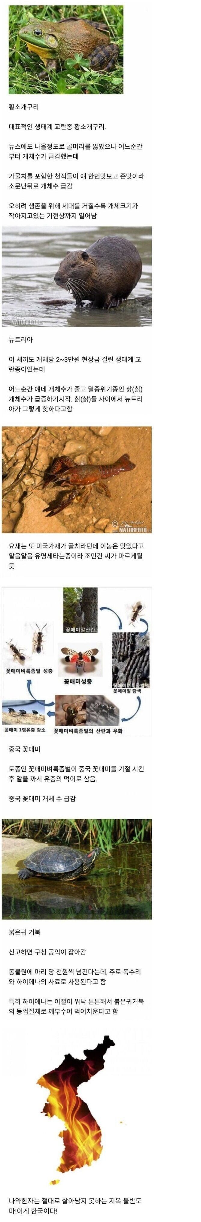 파워볼게임픽분석